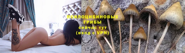 ALPHA-PVP Абинск