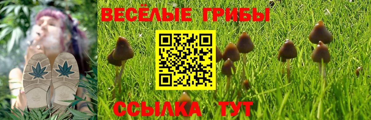 Татарск  Галлюциногенные грибы Cubensis  Вход с VPN  Псилоцибиновые грибы мухоморы 