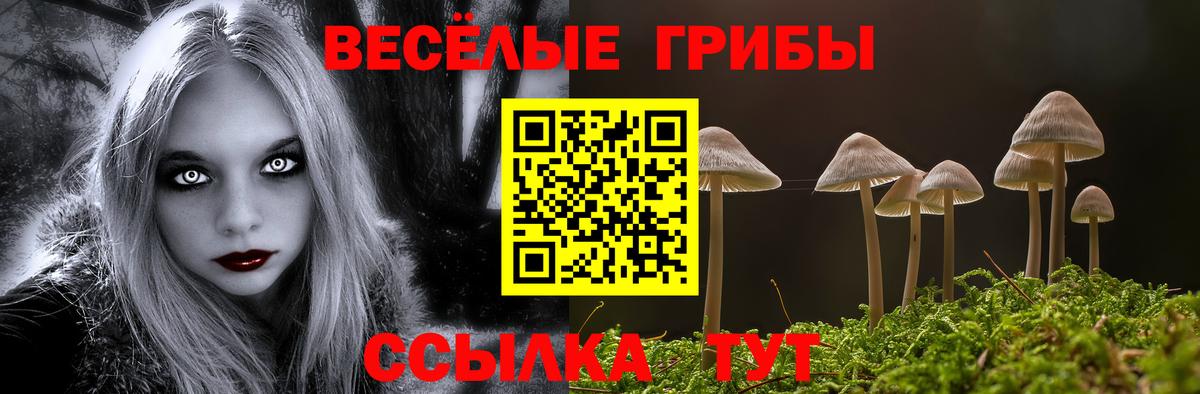 Псилоцибиновые грибы Psilocybe Татарск